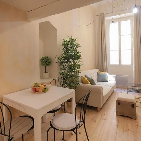 Climatise - Vieux Apartment Nice